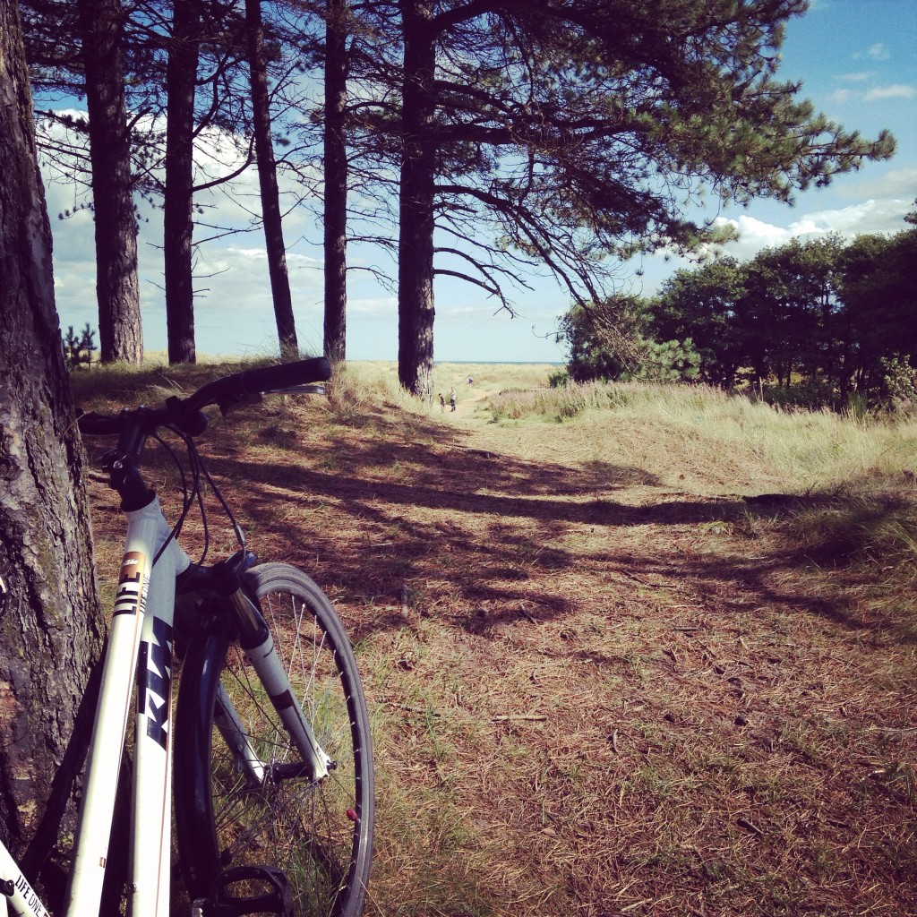 Bikes, cycling, forest, scotland, tentsmuir, fife, dundee, cities, creativity
