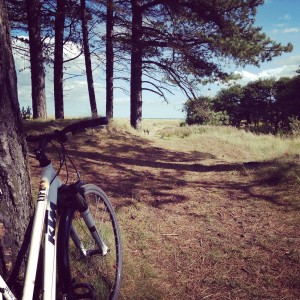 Bikes, cycling, forest, scotland, tentsmuir, fife, dundee, cities, creativity