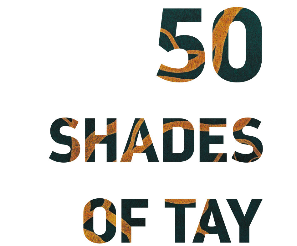 Fifty shades of tay