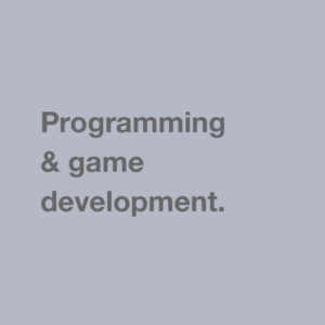 Programming & game development.