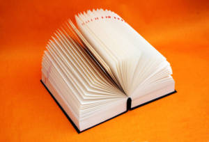 an open book laid flat on an orange surface by Juju books