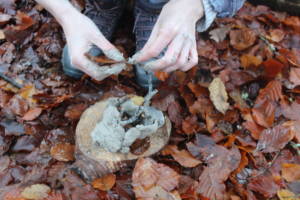 upon an autumnal leaft floor some hand play with some clay on a terracotta dish