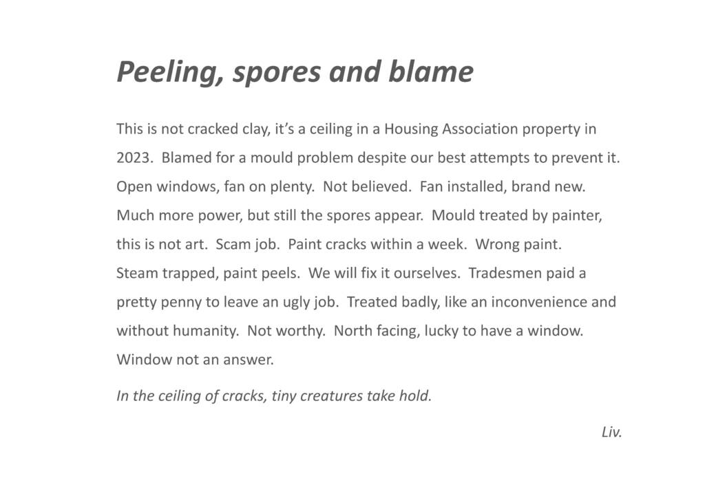 Peeling, spores and blame.

This is not cracked clay, it’s a ceiling in a Housing Association property in 2023. Blamed for a mould problem despite our best attempts to prevent it. Open windows, fan on plenty. Not believed. Fan installed, brand new. Much more power, but still the spores appear. Mould treated by painter, this is not art. Scam job. Paint cracks within a week. Wrong paint. Steam trapped, paint peels. We will fix it ourselves. Tradesmen paid a pretty penny to leave an ugly job. Treated badly, like an inconvenience and without humanity. Not worthy. North facing, lucky to have a window. Window not an answer. In the ceiling of cracks, tiny creatures take hold.